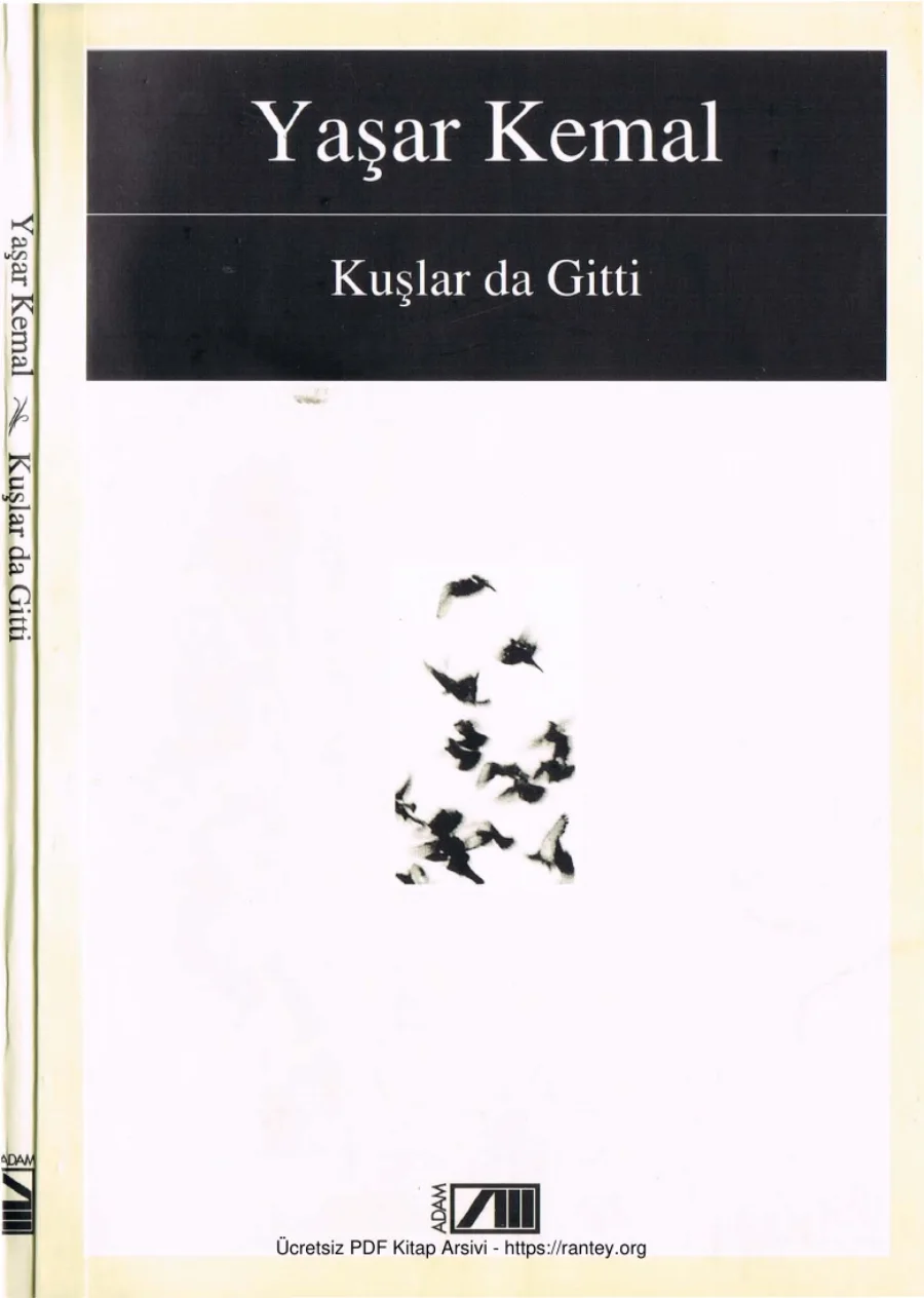 Kuşlar da Gitti kapak görseli
