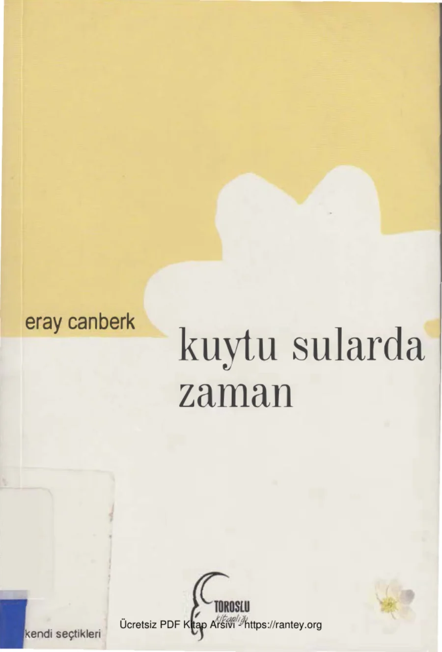 Kuytu Sularda Zaman Toroslu Yayınları kapak görseli