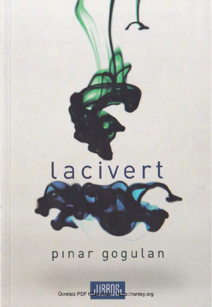 Lacivert Libros Yayınları kapak görseli