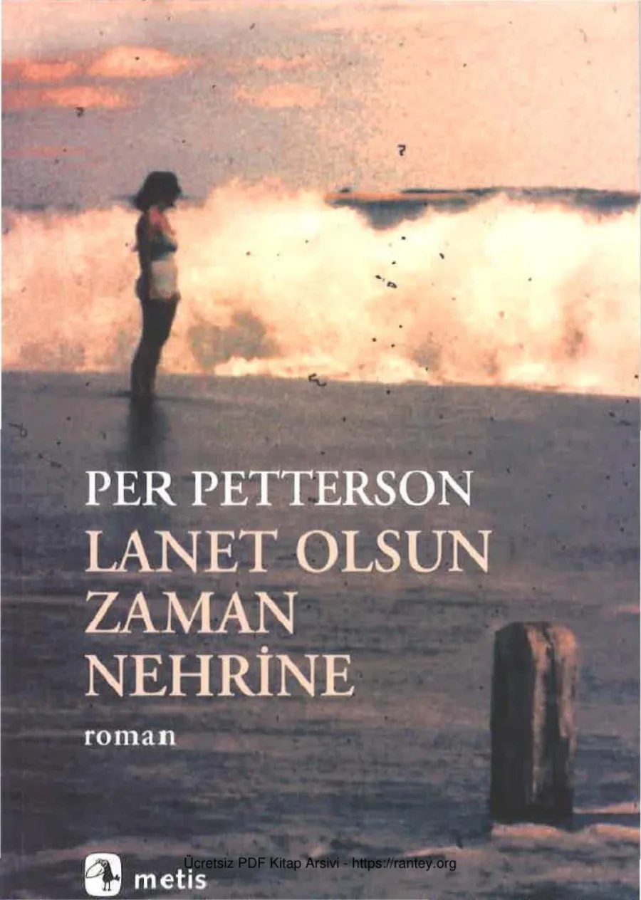Lanet Olsun Zaman Nehrine kapak görseli