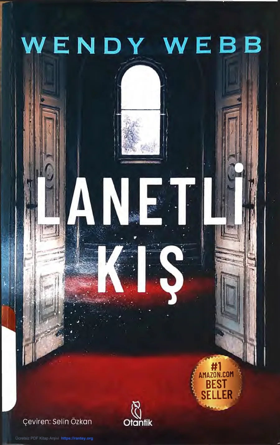 Lanetli Kış kapak görseli