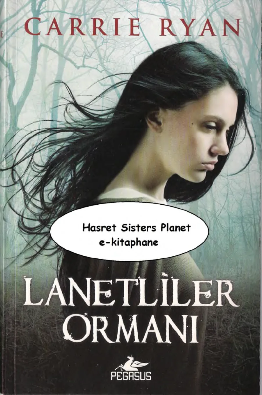 Lanetliler Ormanı kapak görseli
