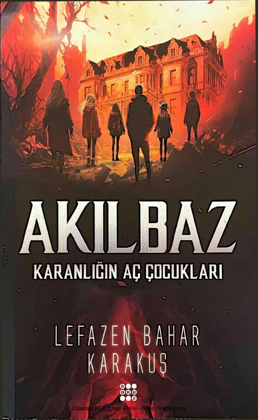 Lefazen Akılbaz kapak görseli