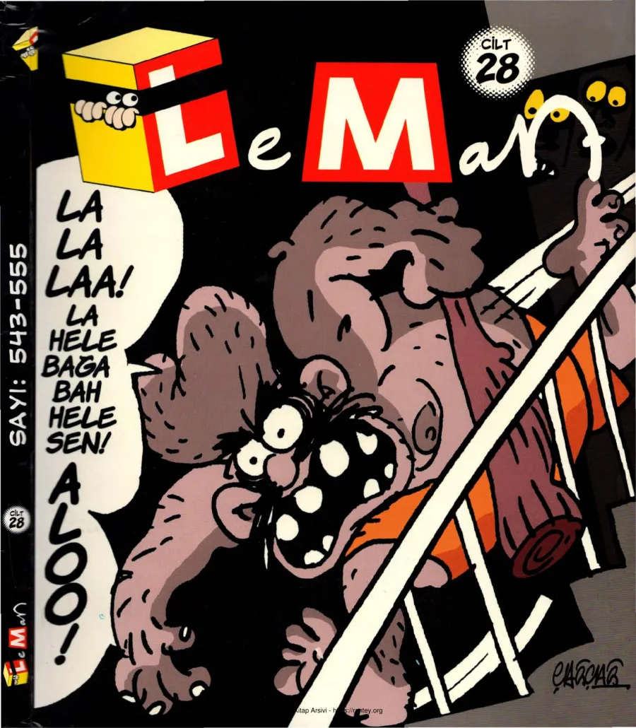 LeMan 2002 Cilt 28 Sayı 543 555 kapak görseli