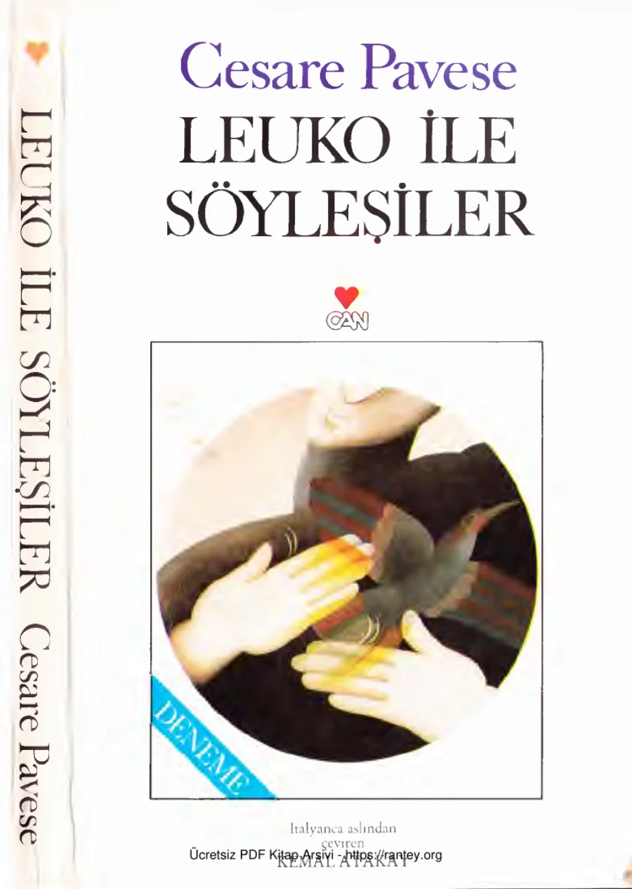 Leuko ile Söyleşiler Deneme kapak görseli