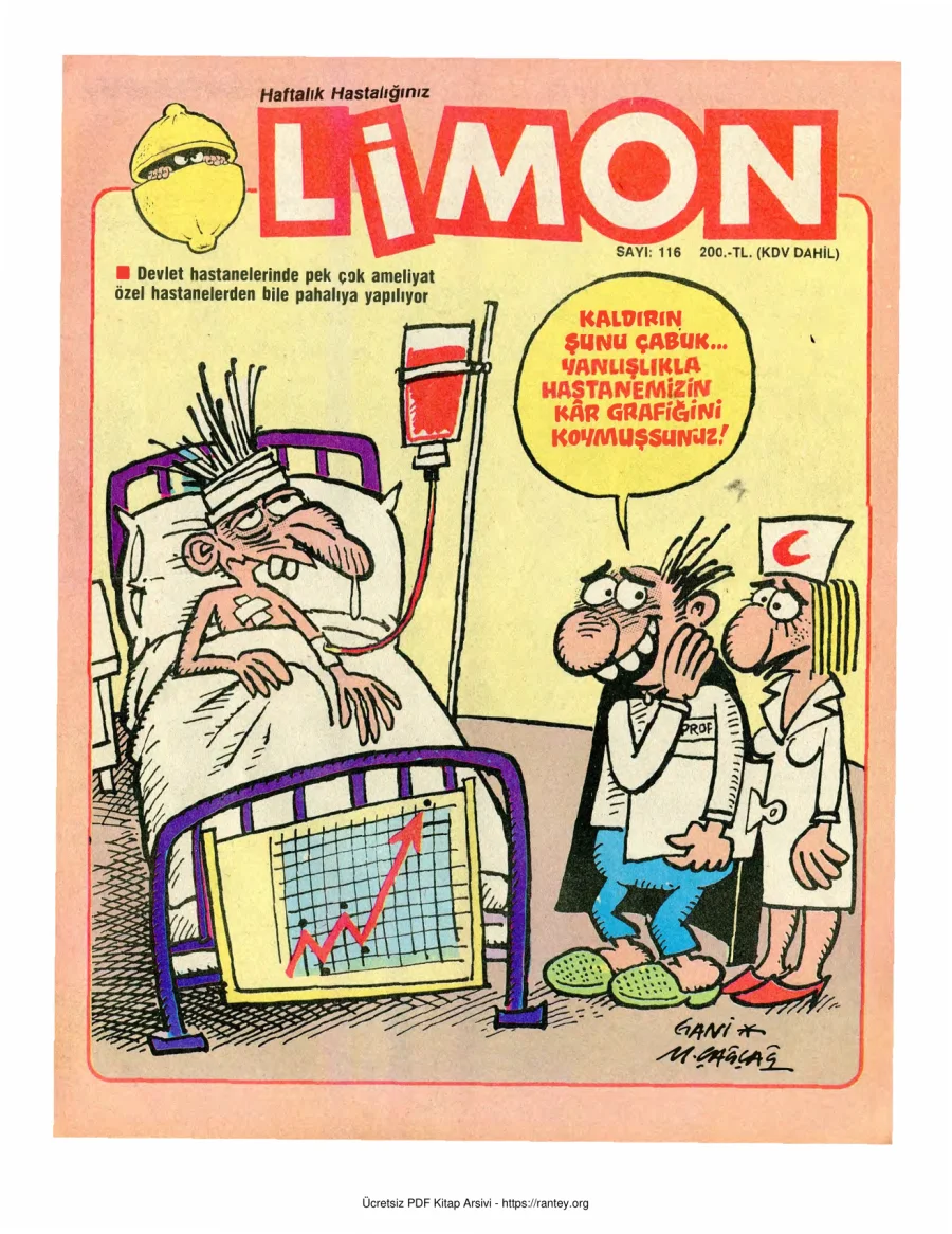 Limon 1988 Sayı 116 kapak görseli