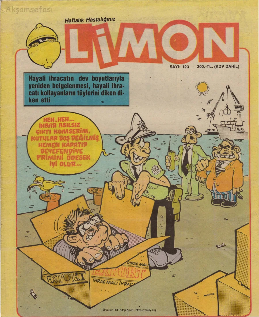 Limon 1988 Sayı 123 kapak görseli