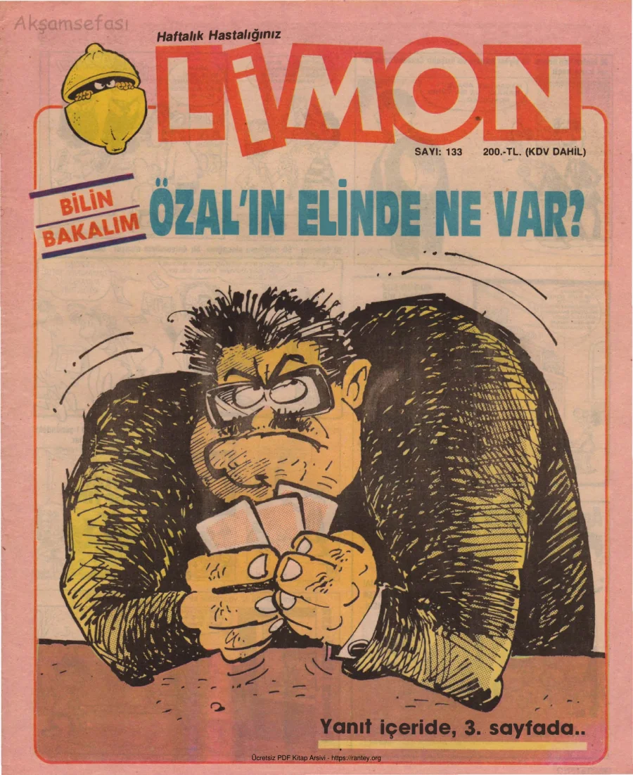 Limon 1988 Sayı 133 kapak görseli