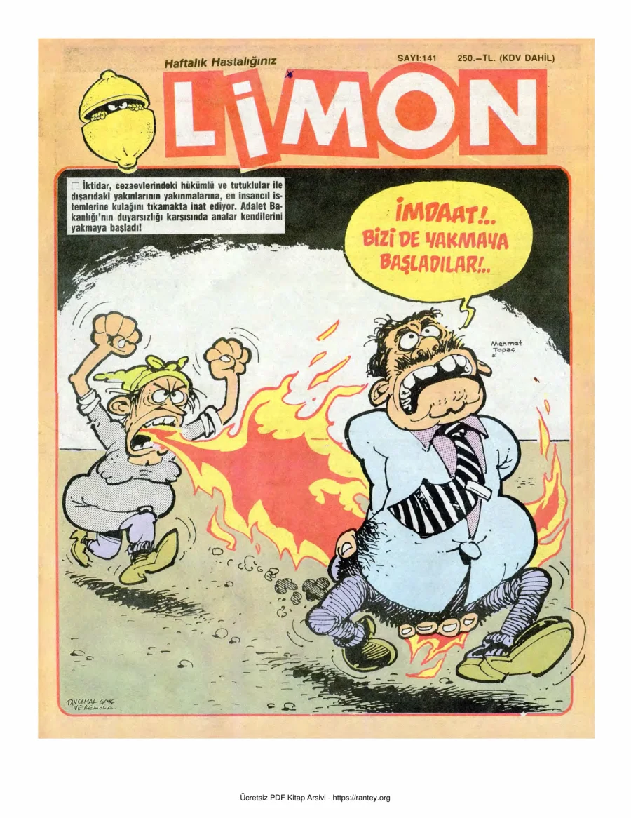 Limon 1988 Sayı 141 kapak görseli