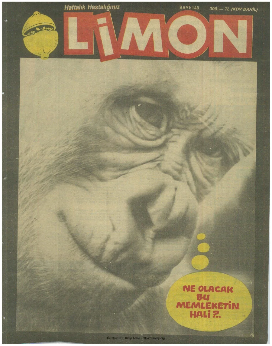 Limon 1989 Sayı 149 kapak görseli