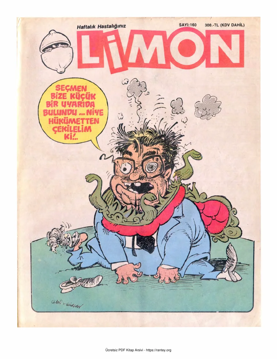 Limon 1989 Sayı 160 kapak görseli