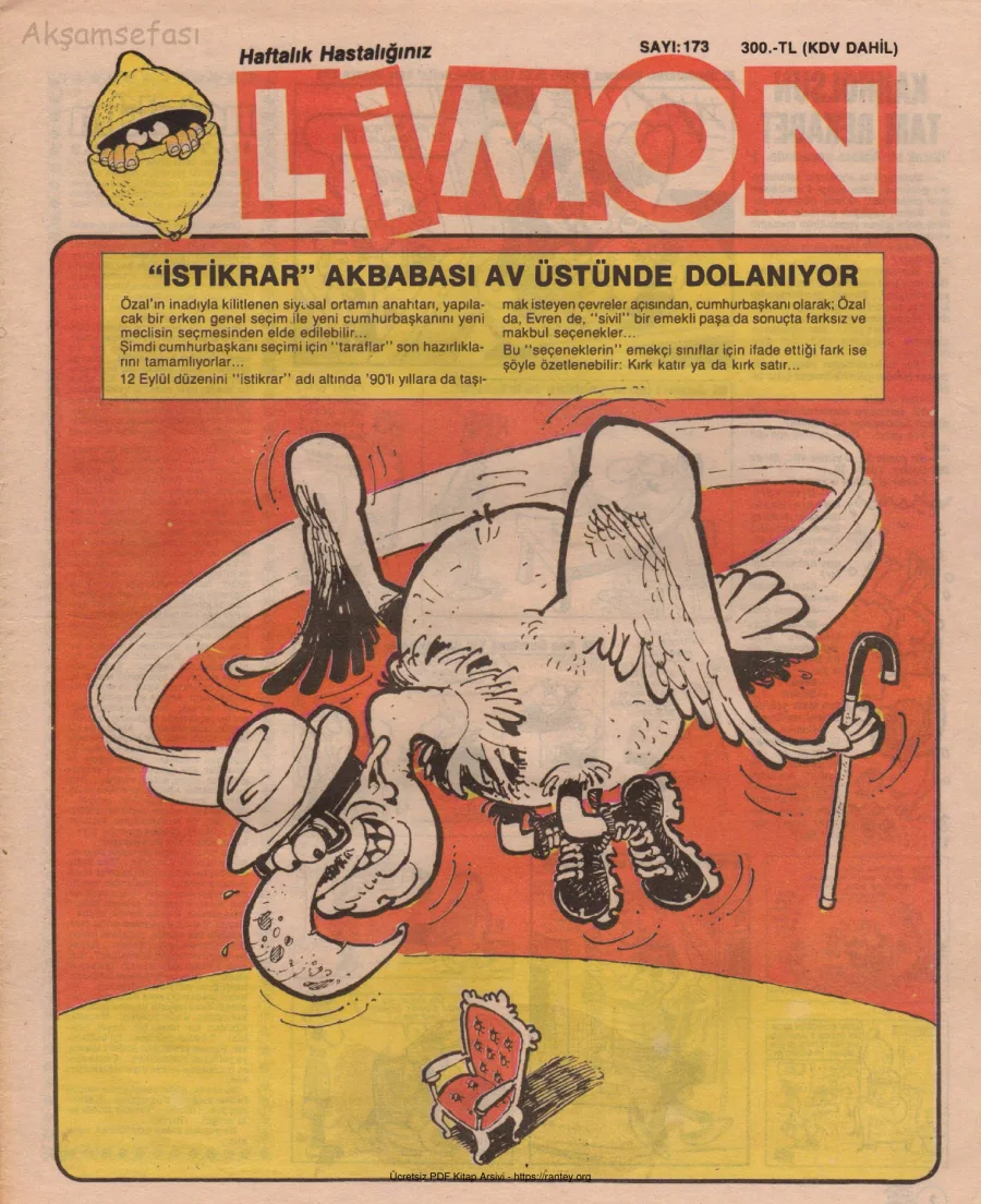 Limon 1989 Sayı 173 kapak görseli