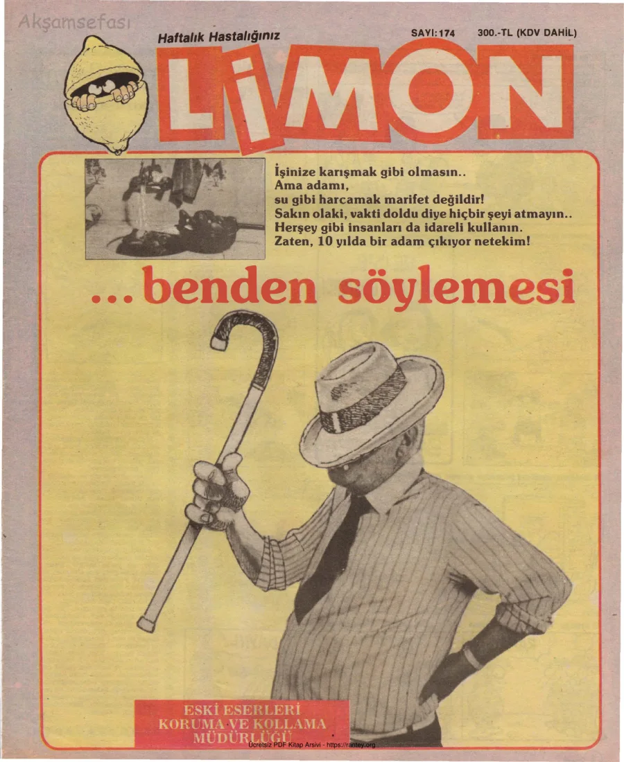 Limon 1989 Sayı 174 kapak görseli