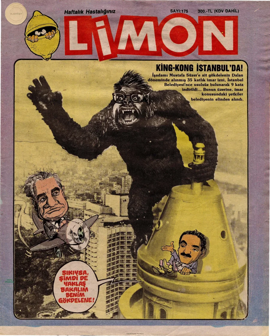 Limon 1989 Sayı 175 kapak görseli