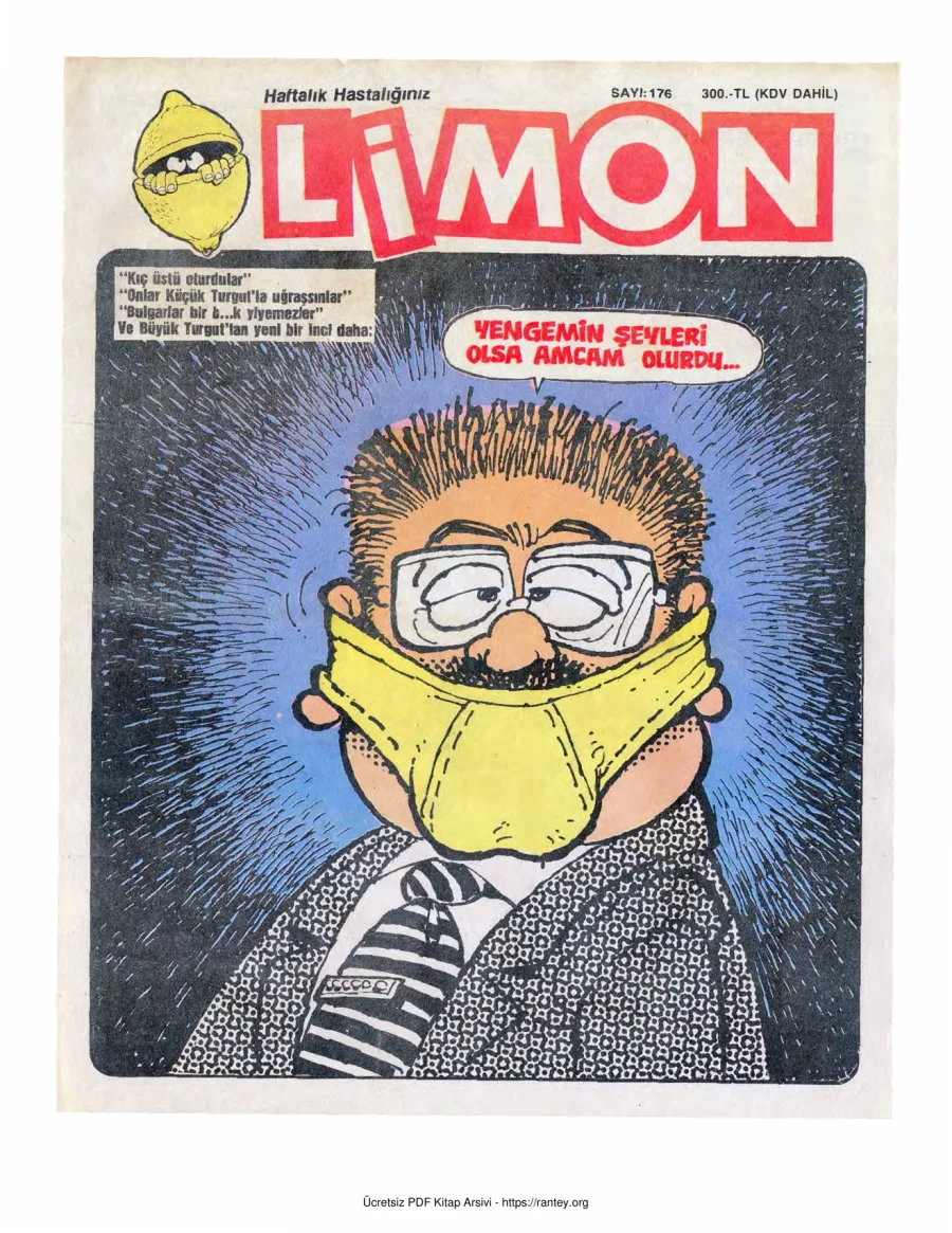 Limon 1989 Sayı 176 kapak görseli