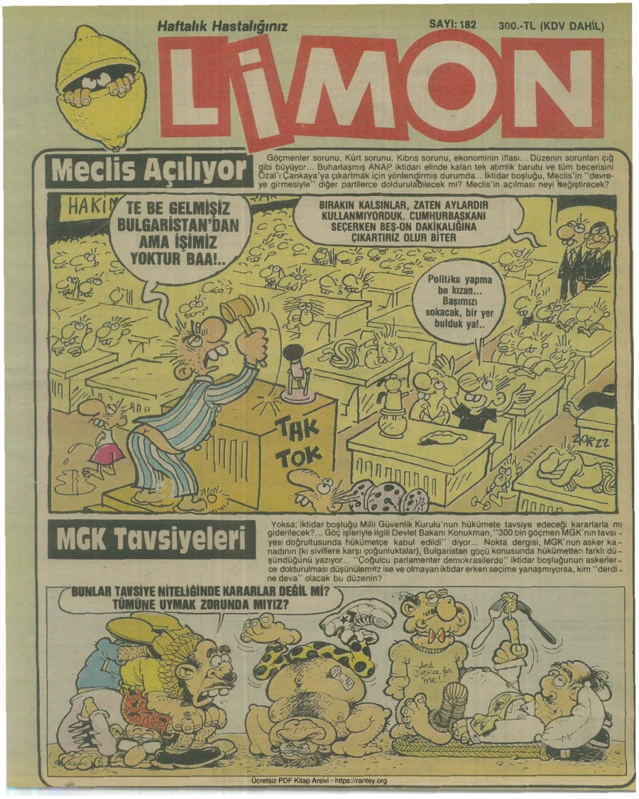 Limon 1989 Sayı 182 kapak görseli
