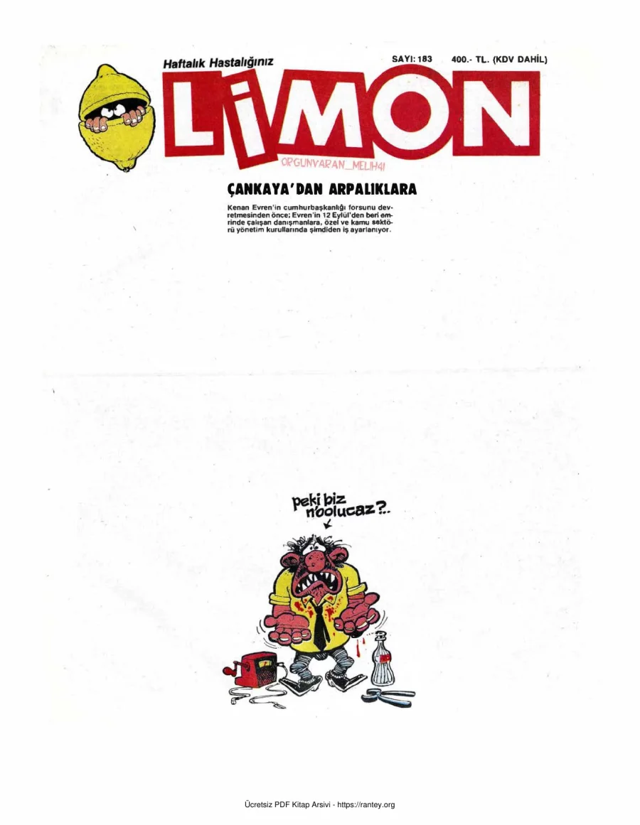 Limon 1989 Sayı 183 kapak görseli