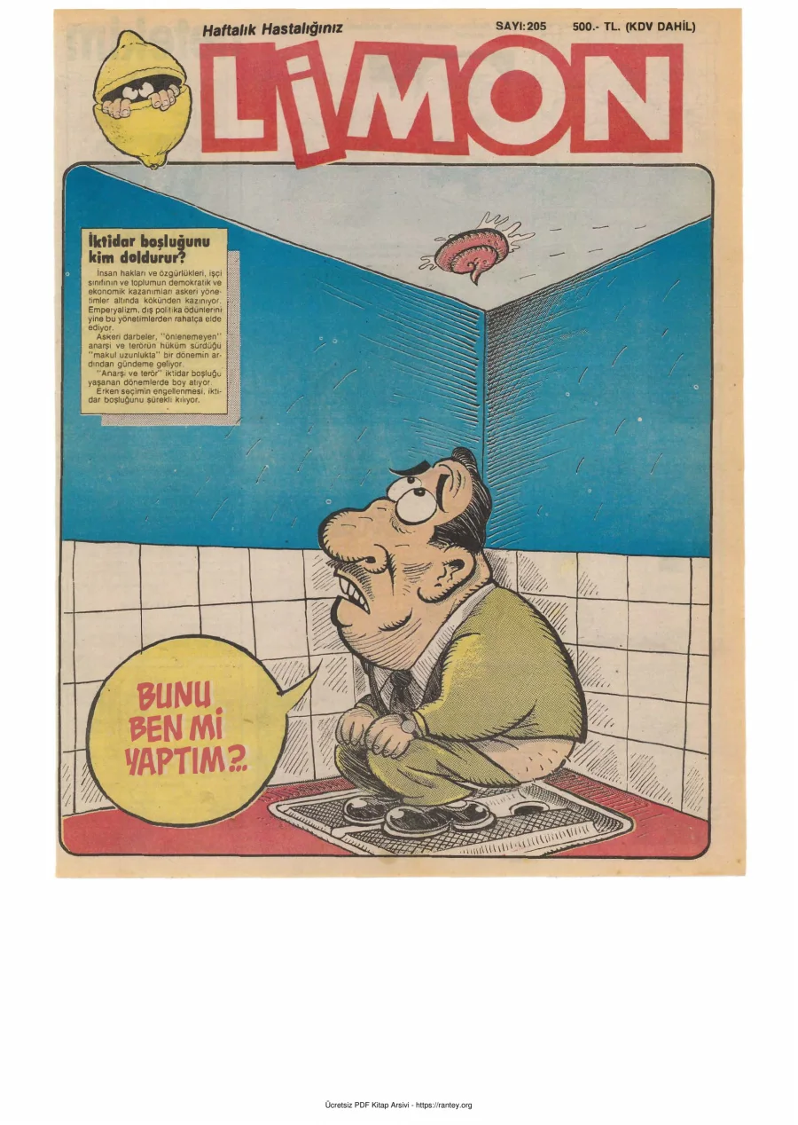 Limon 1990 Sayı 205 kapak görseli