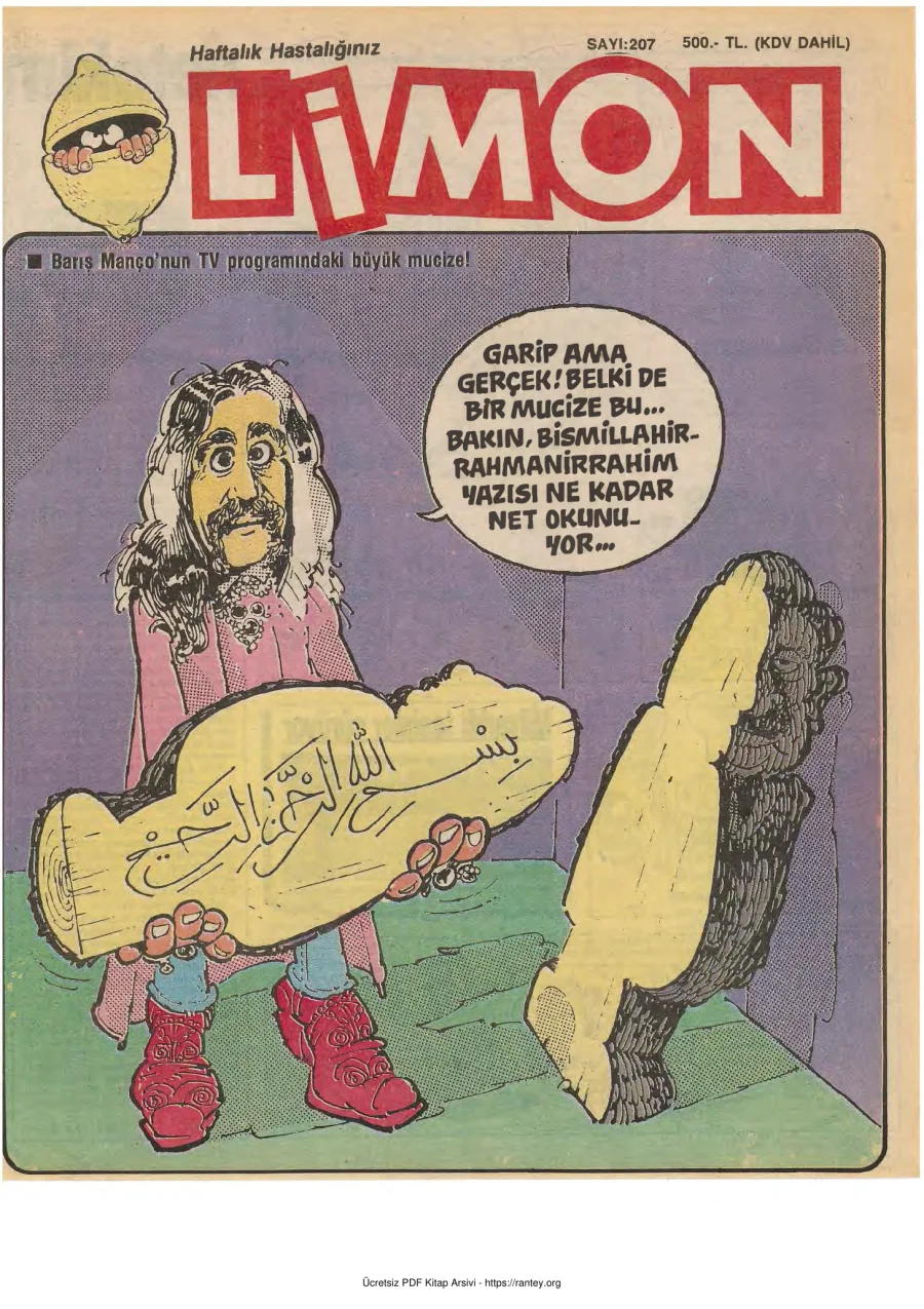 Limon 1990 Sayı 207 kapak görseli