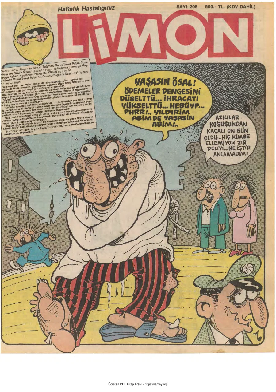 Limon 1990 Sayı 209 kapak görseli