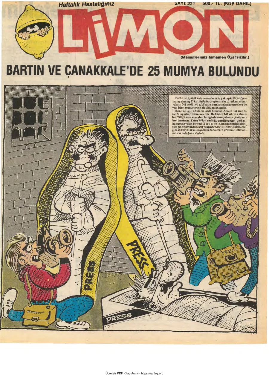 Limon 1990 Sayı 221 kapak görseli