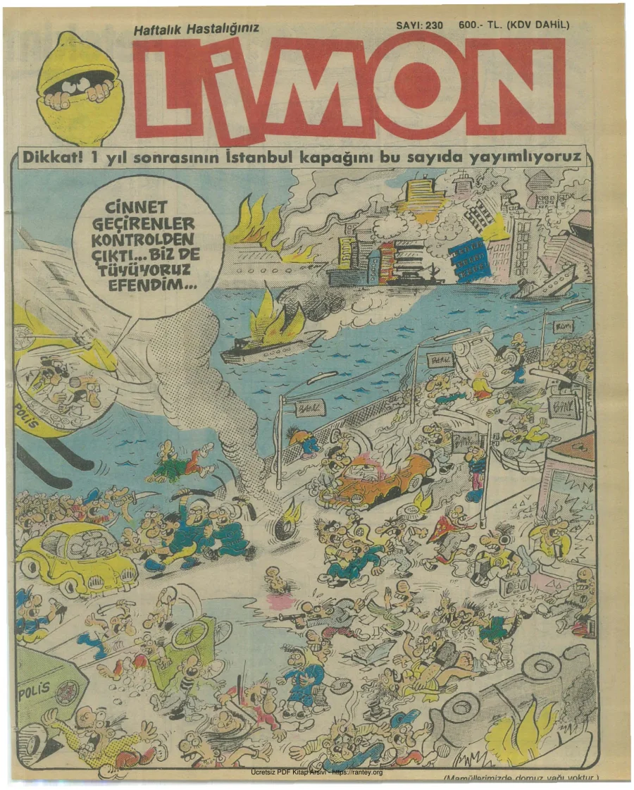 Limon 1990 Sayı 230 kapak görseli