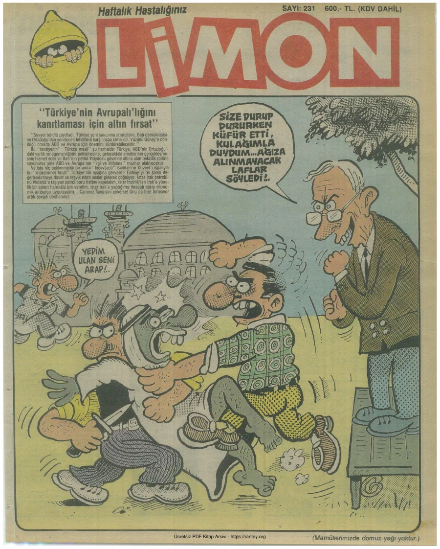 Limon 1990 Sayı 231 kapak görseli
