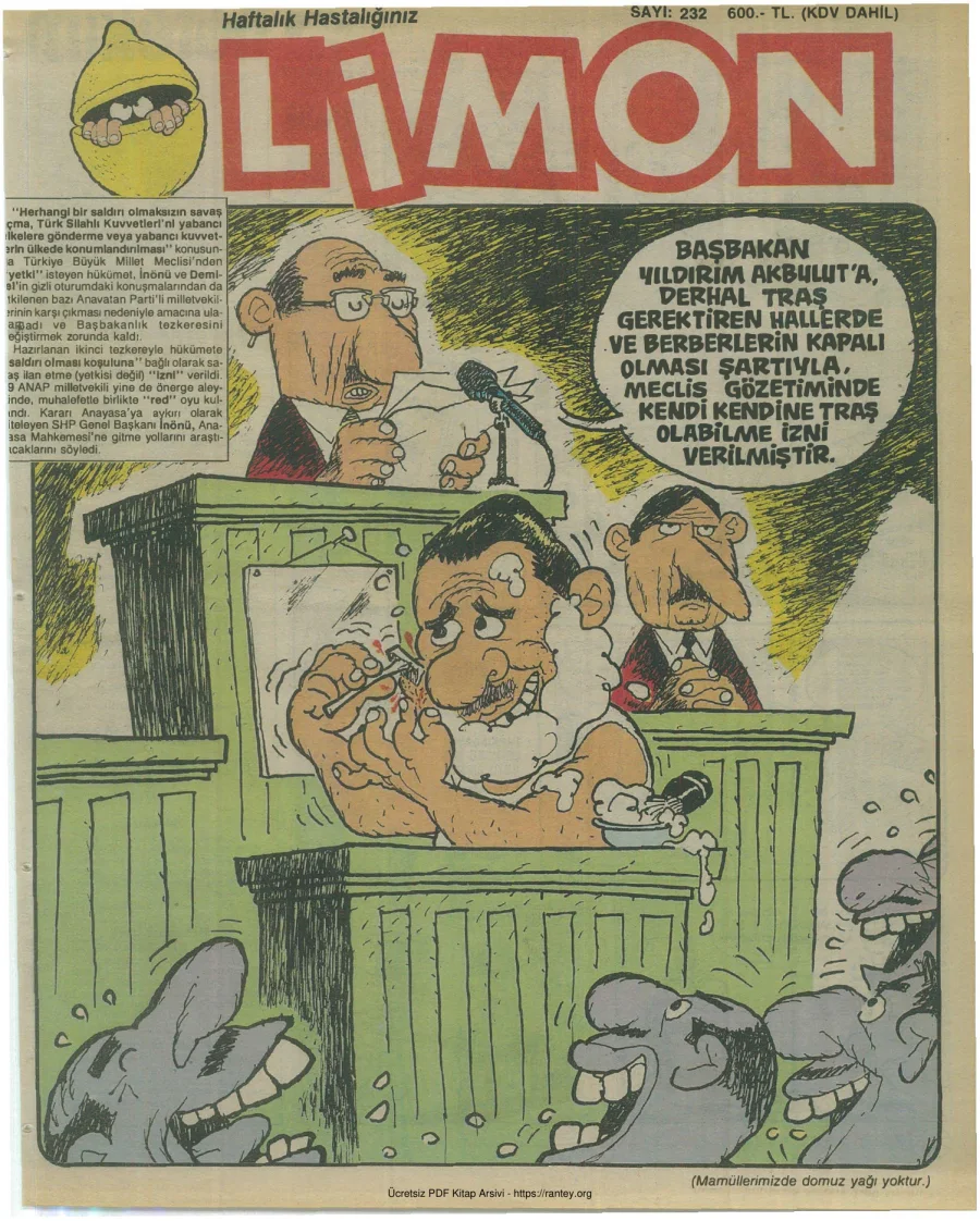 Limon 1990 Sayı 232 kapak görseli