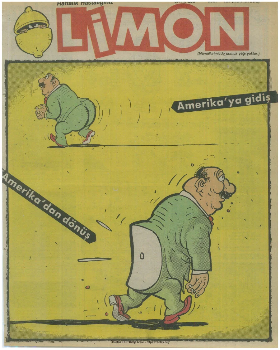 Limon 1990 Sayı 239 kapak görseli