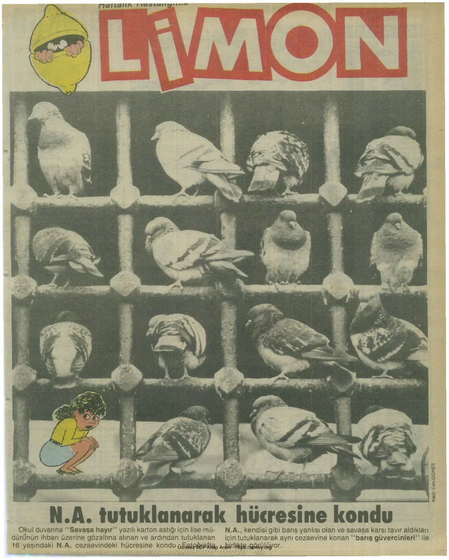 Limon 1990 Sayı 242 kapak görseli