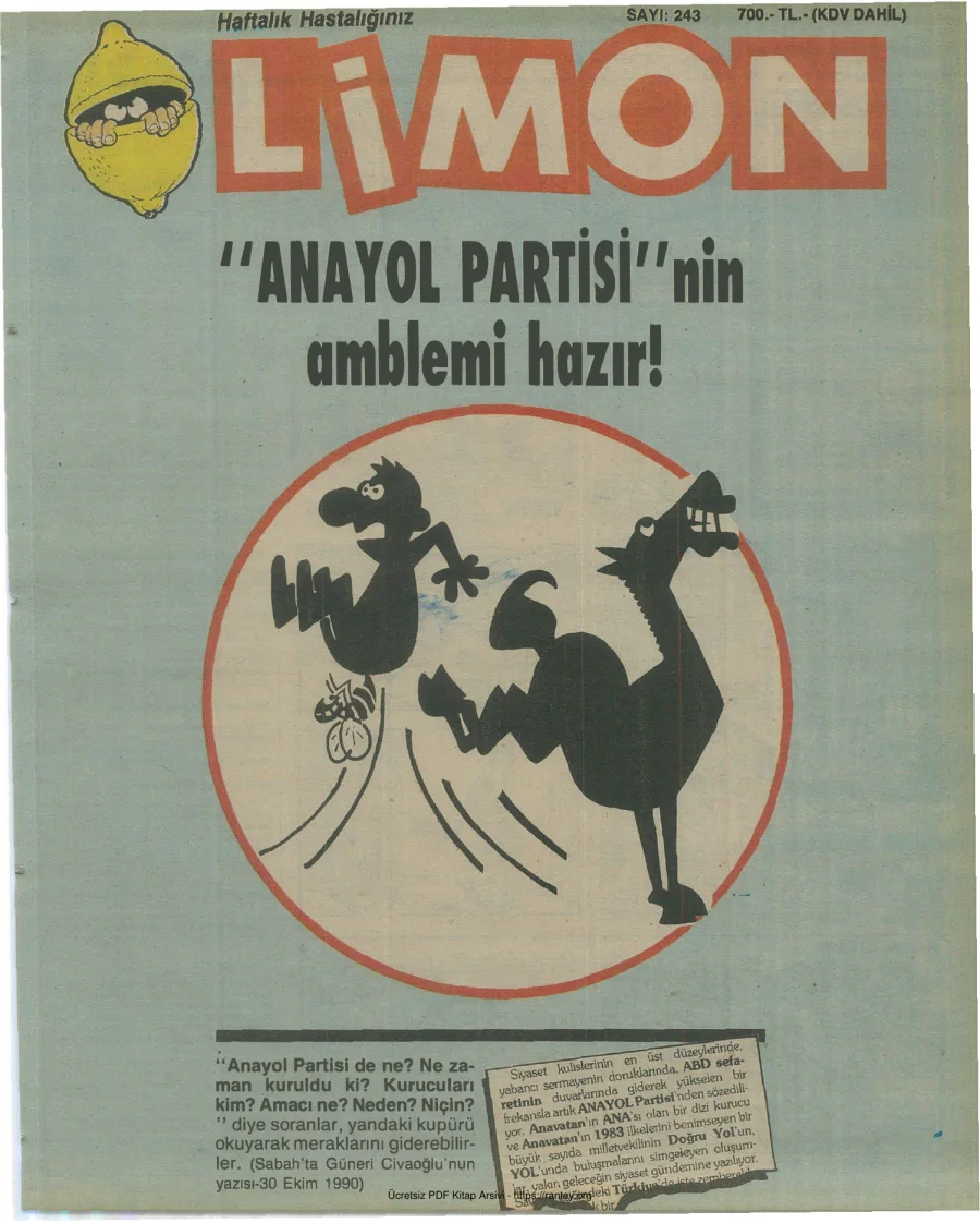 Limon 1990 Sayı 243 kapak görseli