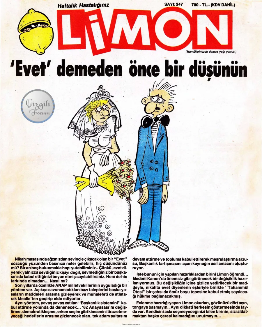 Limon 1990 Sayı 247 kapak görseli