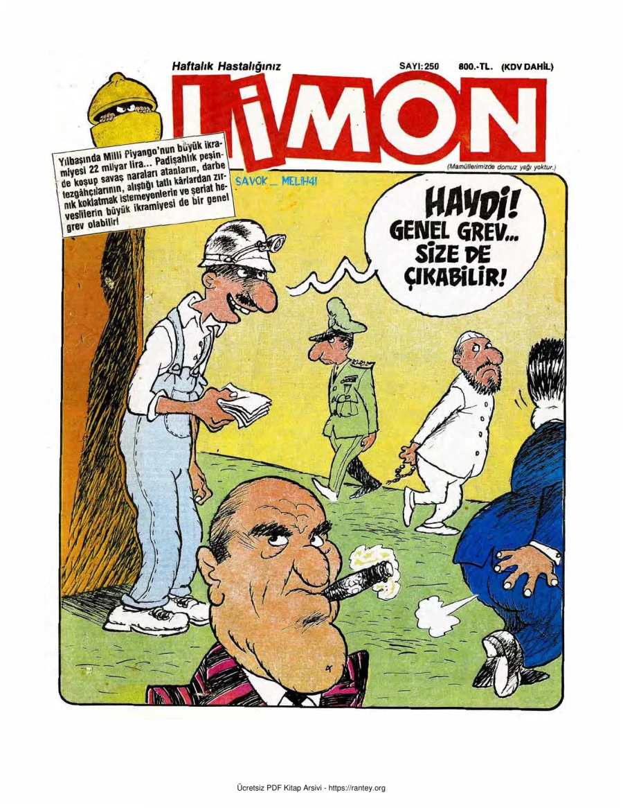 Limon 1990 Sayı 250 kapak görseli