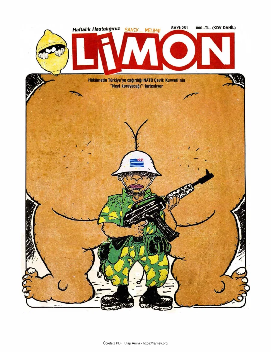 Limon 1990 Sayı 251 kapak görseli