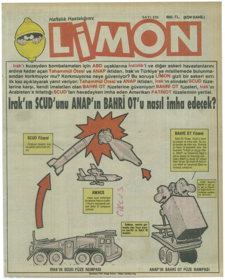Limon 1991 Sayı 255 kapak görseli