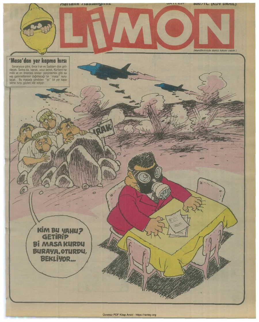 Limon 1991 Sayı 257 kapak görseli