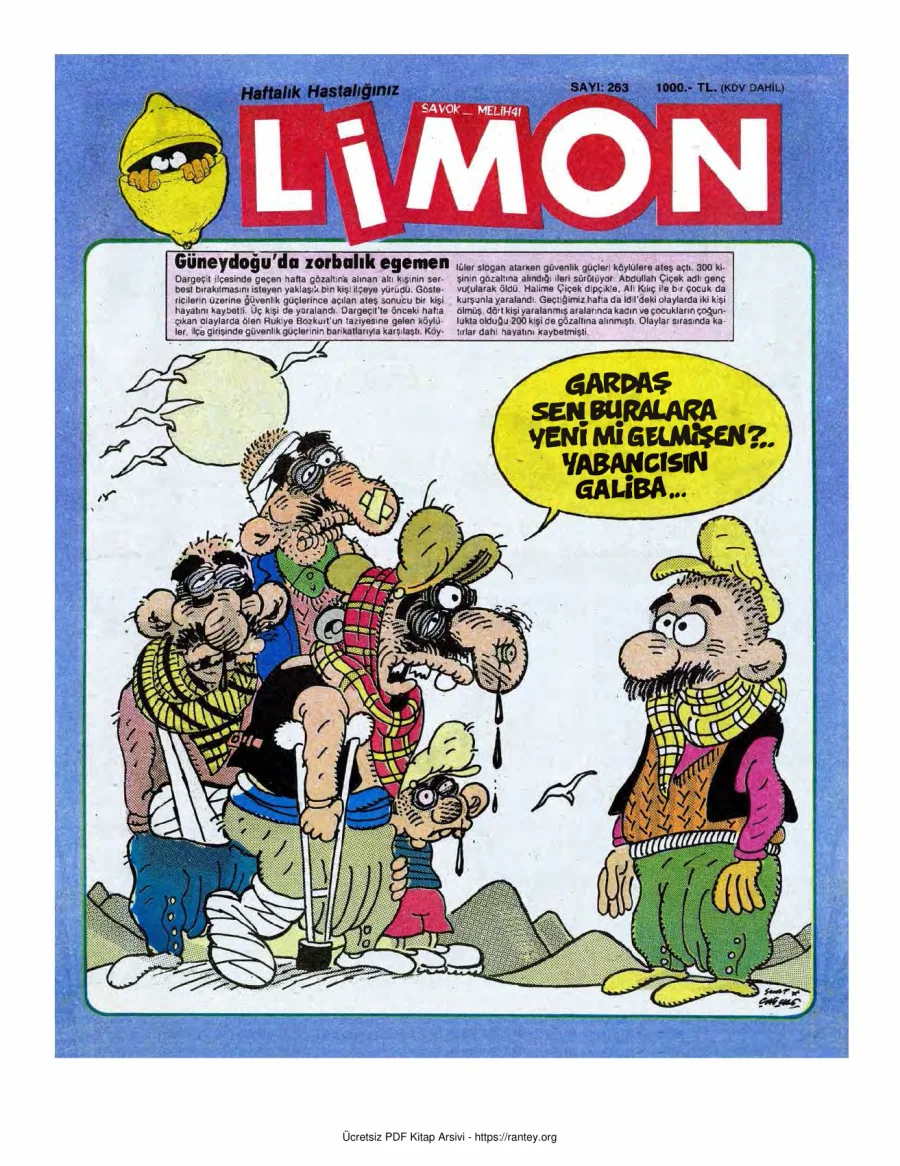 Limon 1991 Sayı 263 kapak görseli