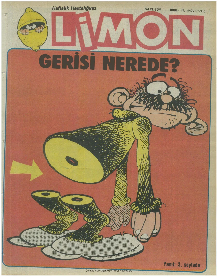 Limon 1991 Sayı 264 kapak görseli