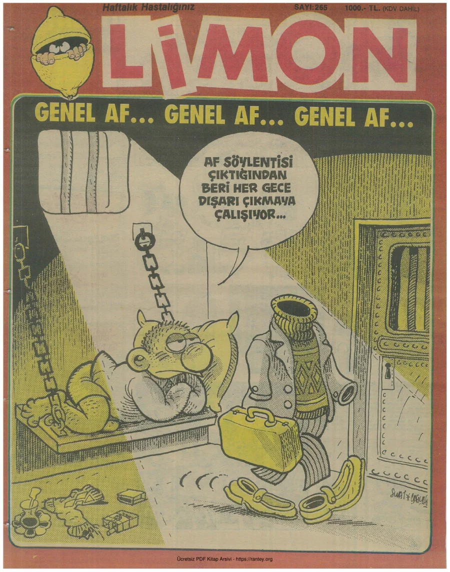 Limon 1991 Sayı 265 kapak görseli