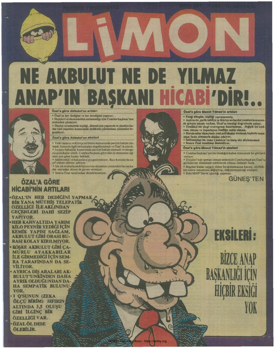 Limon 1991 Sayı 271 kapak görseli