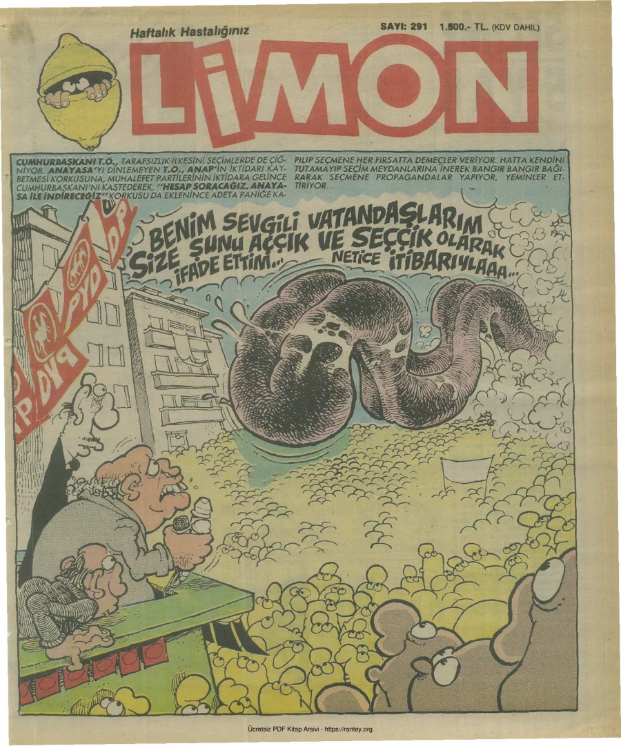 Limon 1991 Sayı 291 kapak görseli