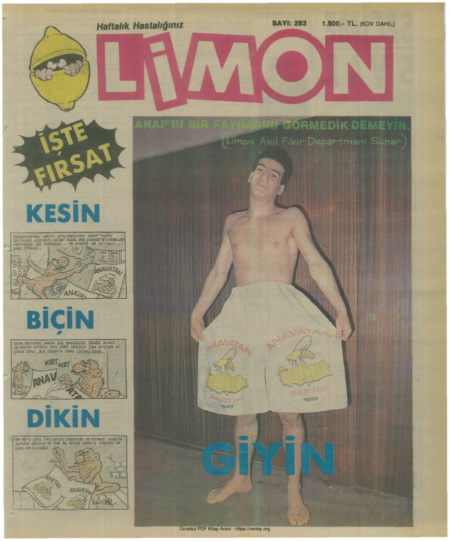 Limon 1991 Sayı 293 kapak görseli
