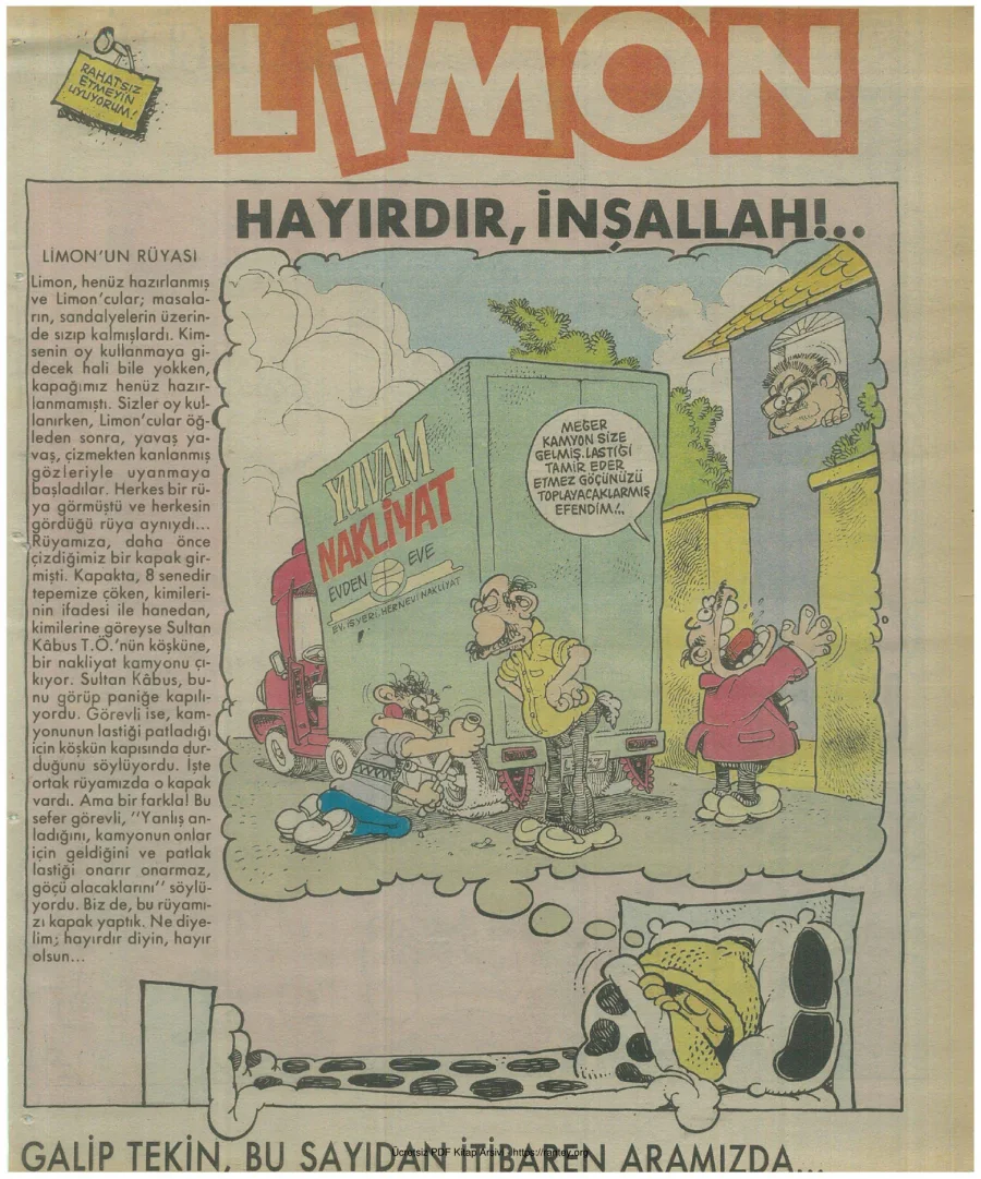Limon 1991 Sayı 294 kapak görseli