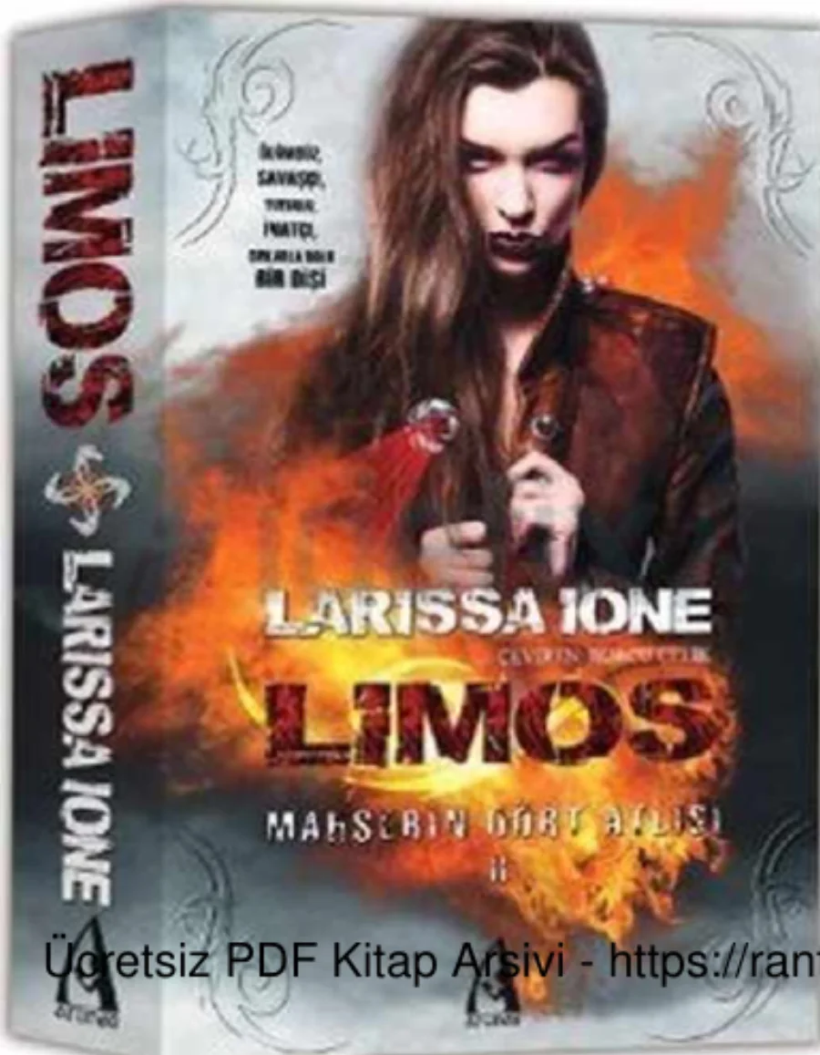 Limos 2 kapak görseli