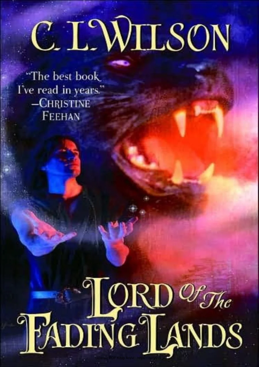 Lord of the Fading Lands kapak görseli