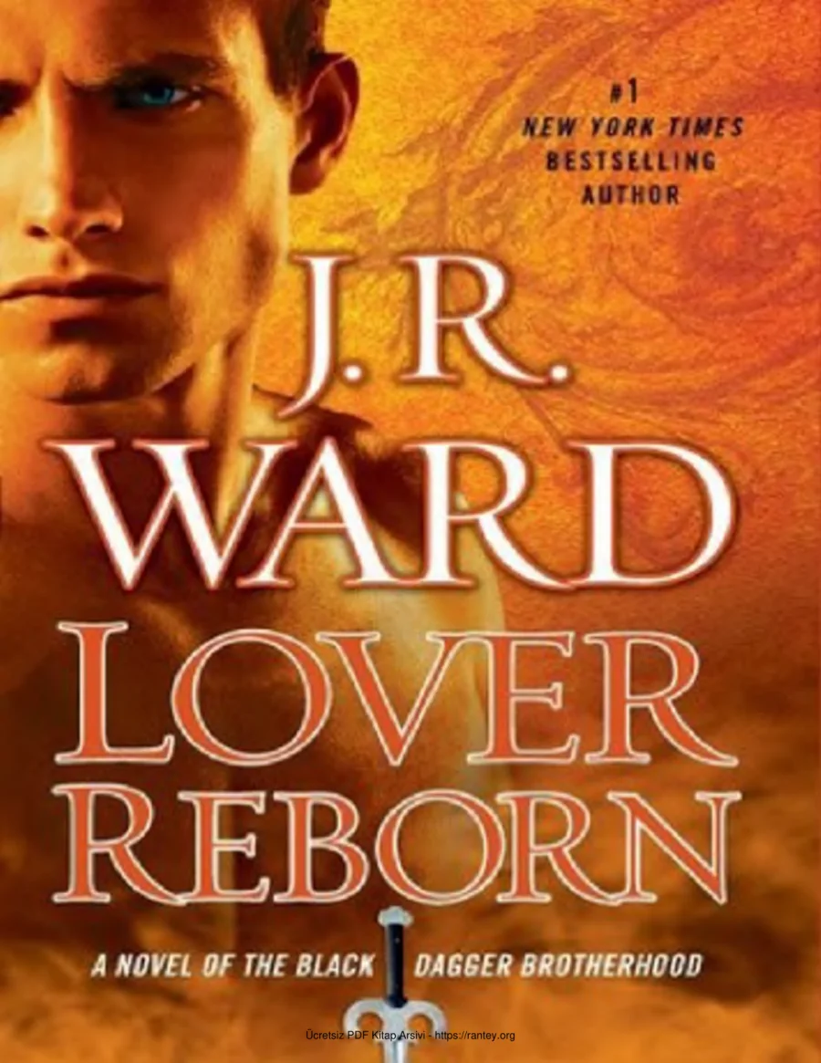 Lover Reborn kapak görseli