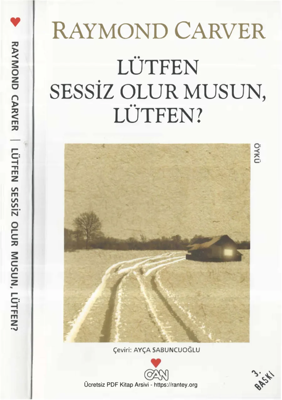 Lütfen Sessiz Olur Musun Lütfen kapak görseli
