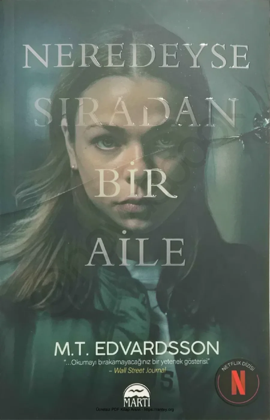 M T Edvardsson Neredeyse Sıradan Bir Aile kapak görseli