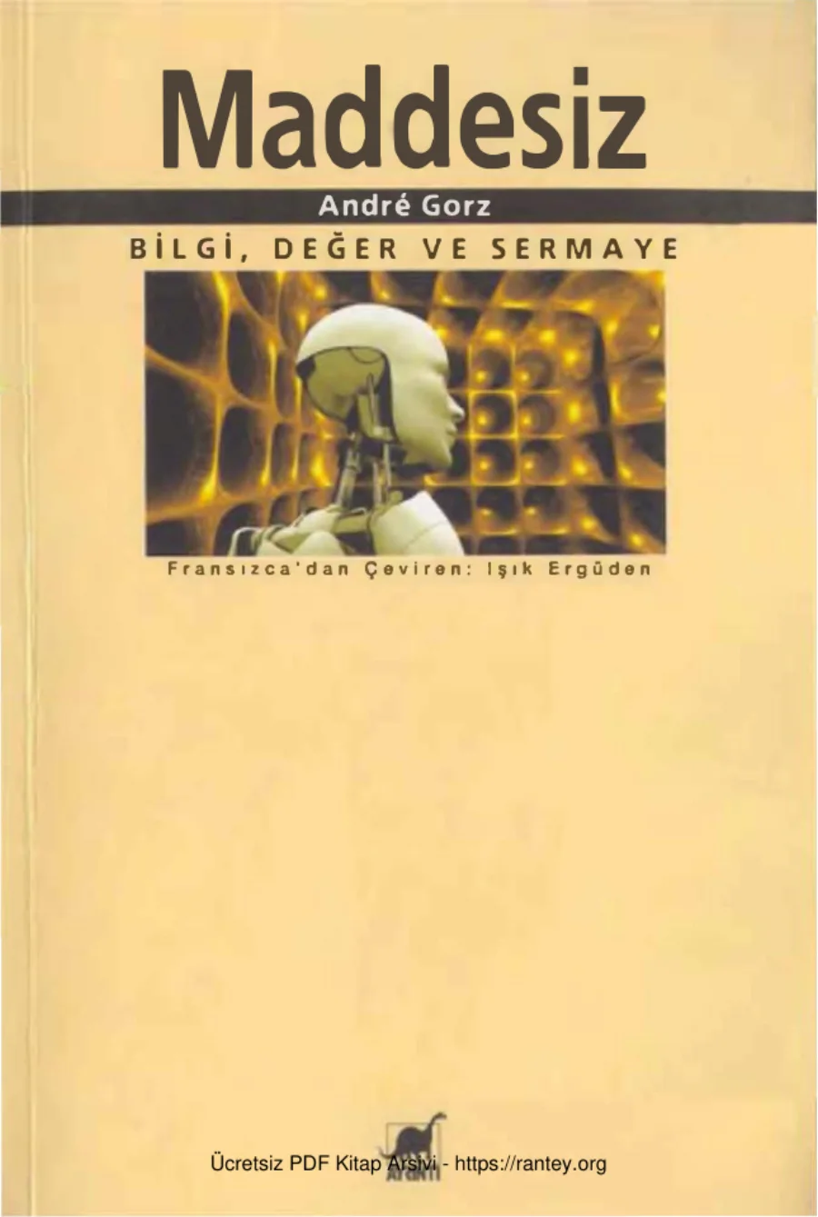 Maddesiz: Bilgi, Değer ve Sermaye kapak görseli