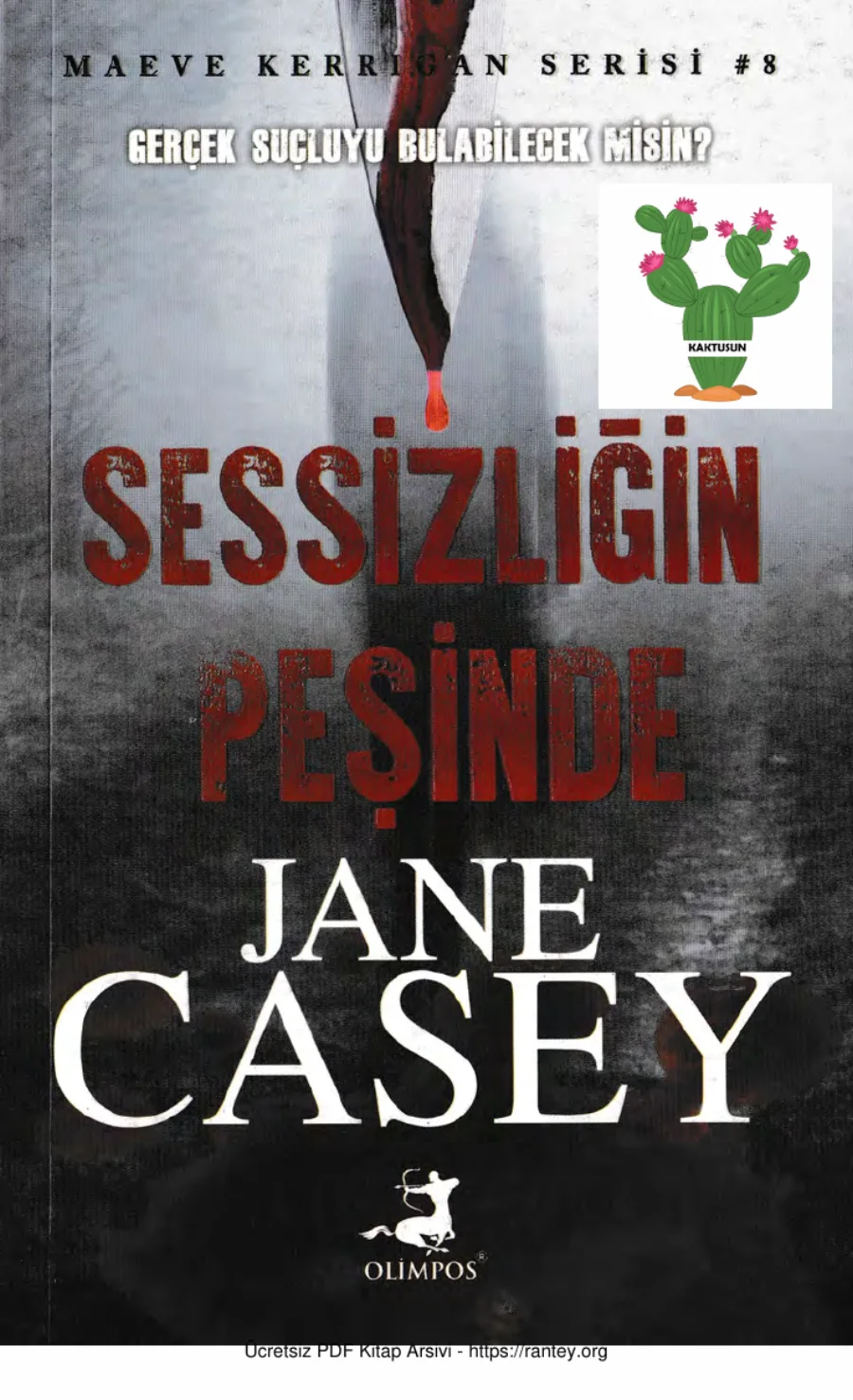 Maeve Kerrigan 08 Sessizliğin Peşinde kapak görseli